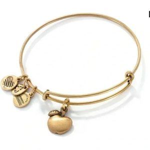 Alex And Ani Apple Of Abundance Bangle Charm Bracelet - A Great Teacher Gift